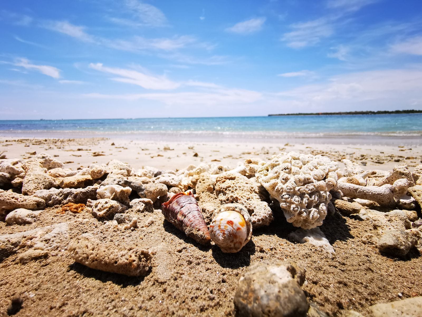 Shells on the sand at Kalkudah beach