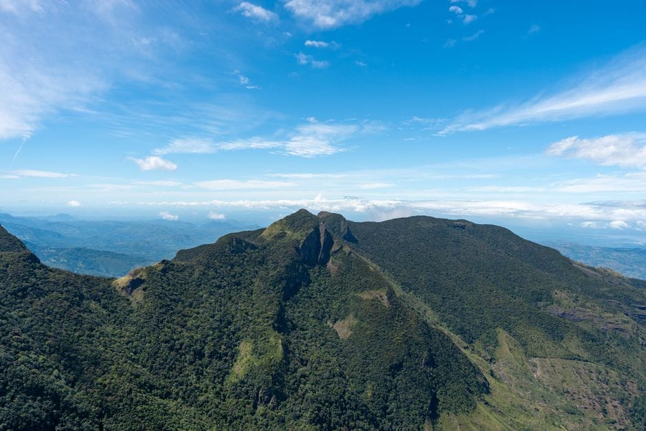 Forested ridges of the Knuckles Mountain Range seen from a summit